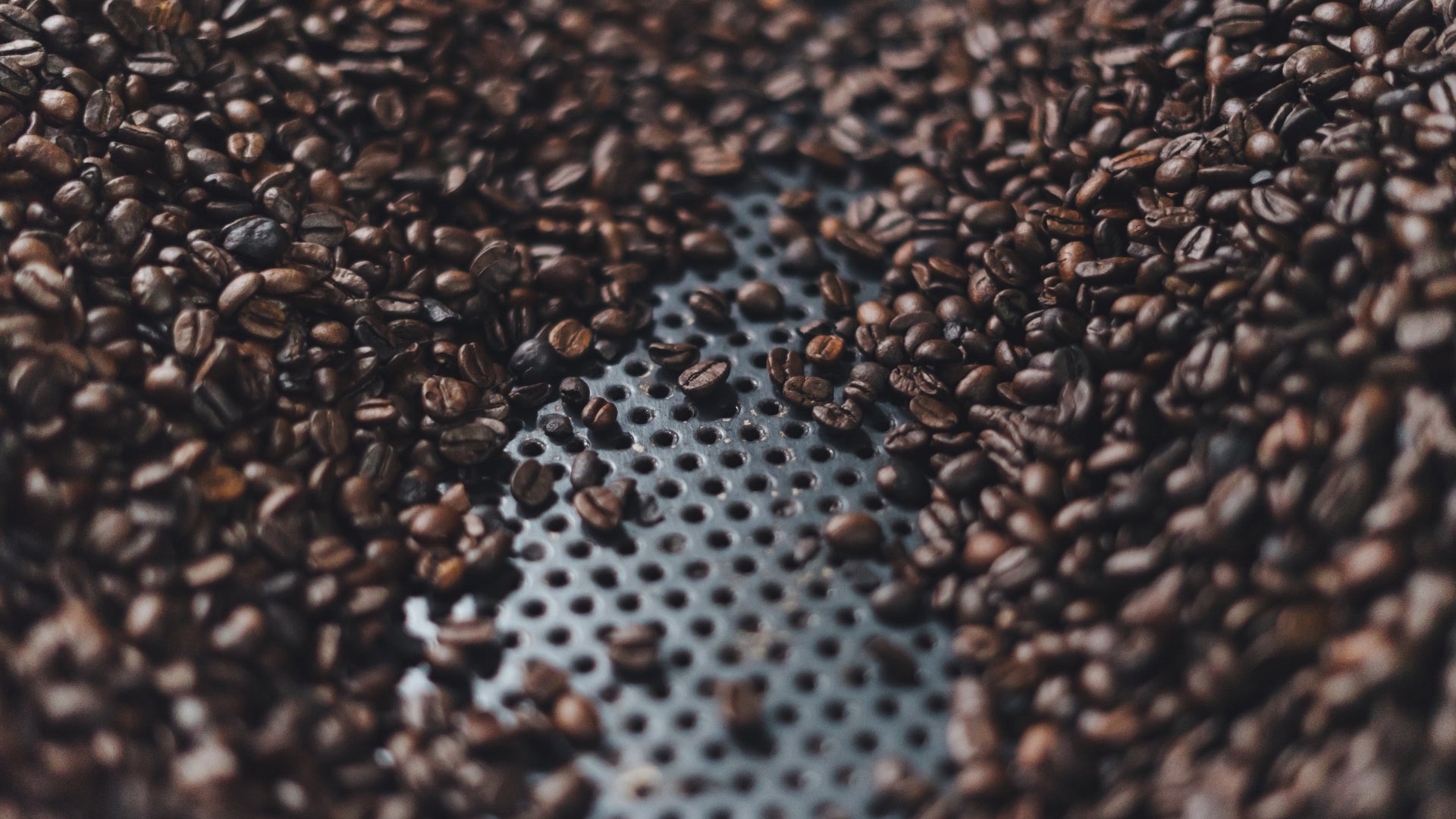Geröstete Kaffeebohnen auf Röstblech – Kaffee richtig rösten