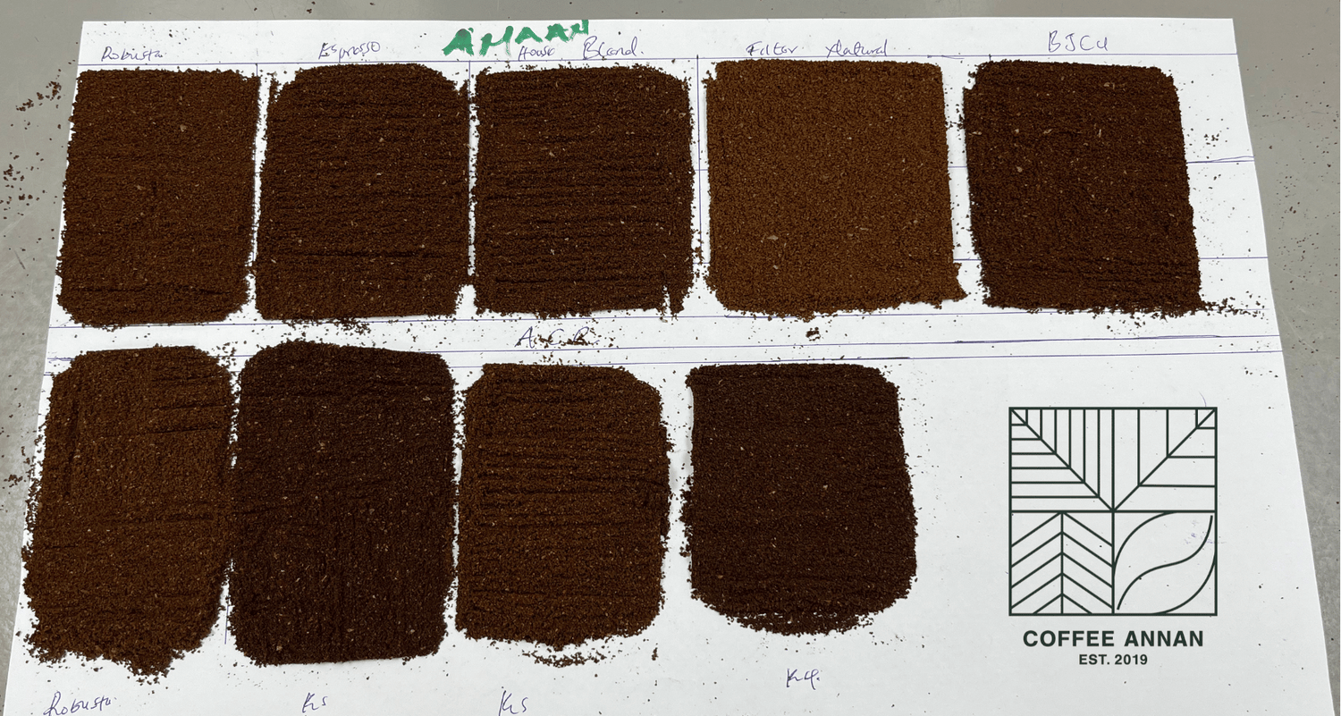 Vergleich von gemahlenem Kaffeepulver in verschiedenen Röstgraden auf Papier